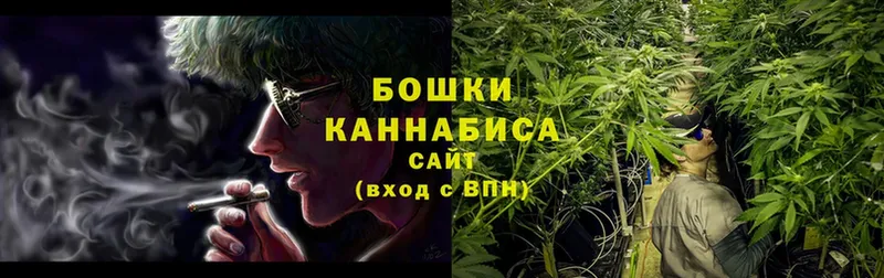 Канабис Amnesia  наркота  Дмитров 